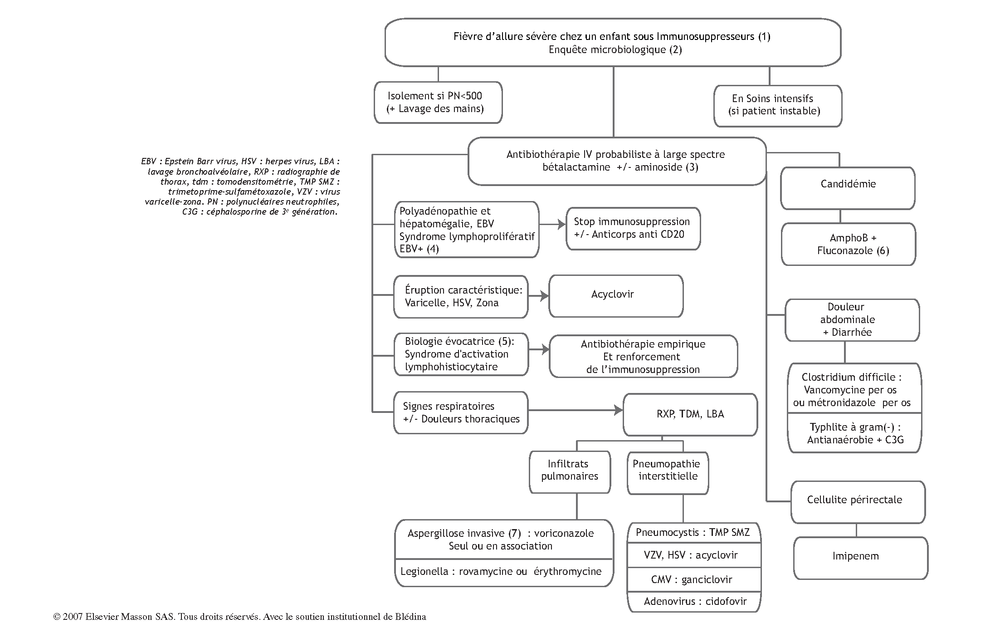 download Cooperative Control of Dynamical