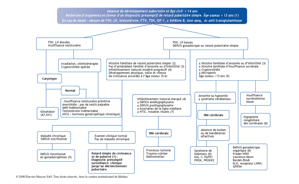 puberté retardée garçon - retarder la puberté